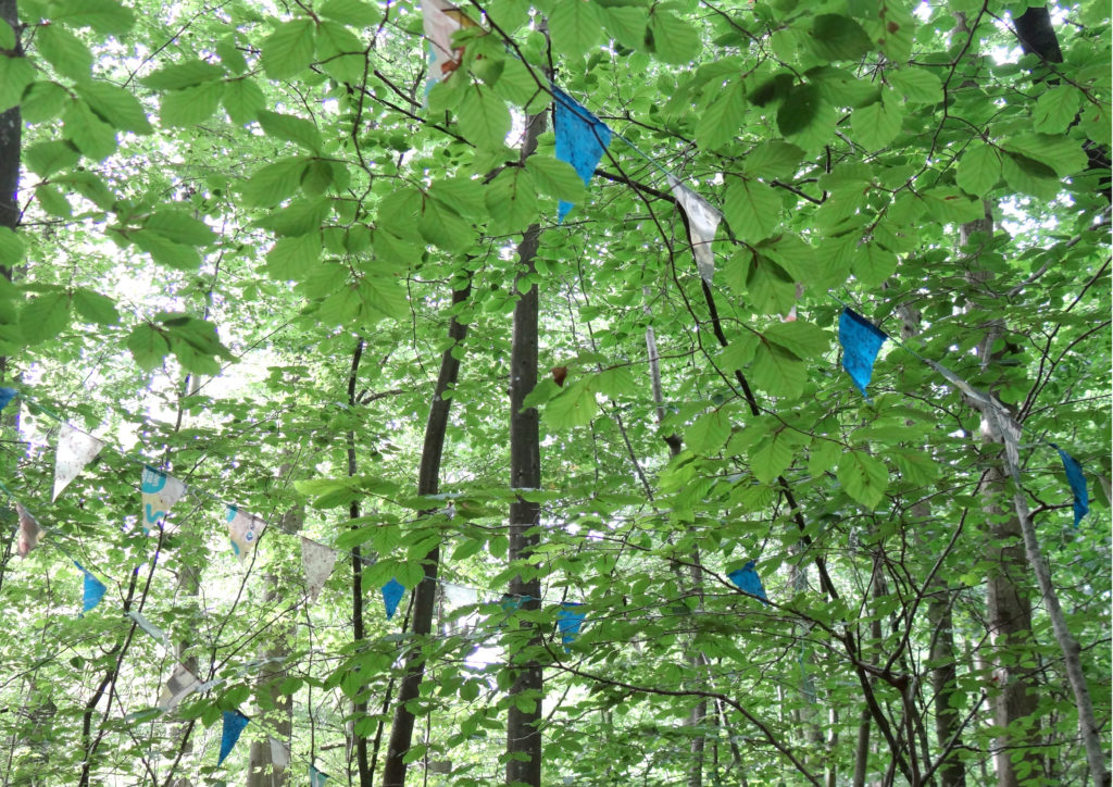 CLAIRE EBENDINGER, GARDEN PARTY, INSTALLATION IN SITU, FLAGS MADE OF PLASTIC PACKAGING AND PLASTIC BAG FOUND IN THE FOREST