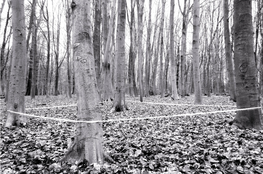 CLAIRE EBENDINGER, 36 METERS OF ROPE COILED AROUND FOUR TREES, A WALK IN CLOSED-CIRCUIT 1/3, LA CAMBRE WOODS, BRUSSELS, PERFORMANCE